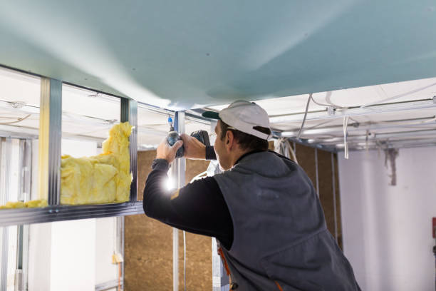 Best Eco-Friendly Insulation in Cuba, MO